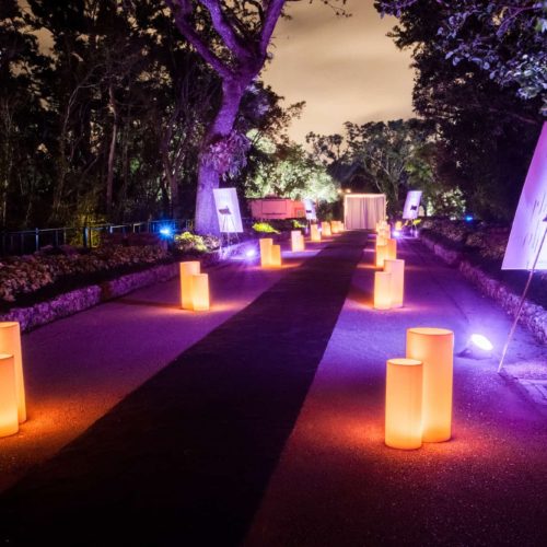 Vizcaya luminaries wax candles front of the house Miami