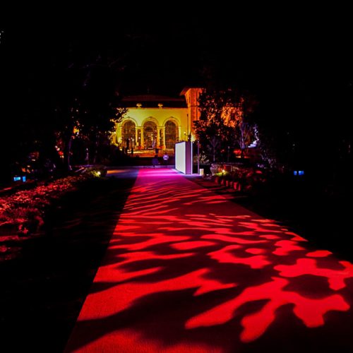 Patterns projection red carpet Vizcaya Museum and Gardens