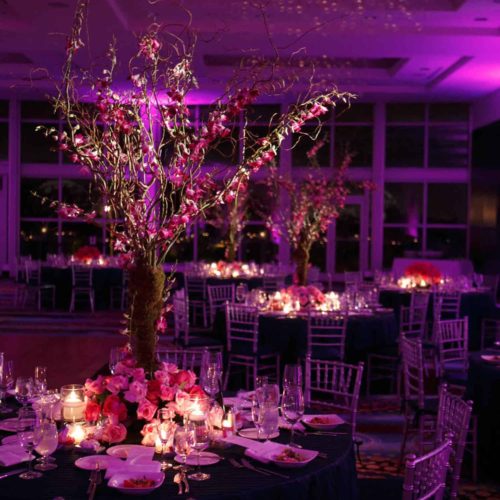 halogen LED pinspots for events wedding corporate