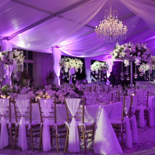 LED pinspot lighting Vizcaya Museum wedding reception in the tent